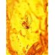 Amber Souvenir Stone With Insect Inclusions, image , picture 4