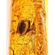 Amber Souvenir Stone With Insect Inclusions, image , picture 2