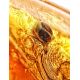 Amber Souvenir Stone With Insect Inclusions, image , picture 3