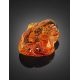 Unique Amber Stone With Insect Inclusions, image , picture 4