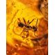 Natural Textured Amber Stone With Ant Inclusion, image , picture 2
