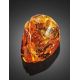 Natural Textured Amber Stone With Ant Inclusion, image , picture 4