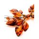 Cognac Amber Floral Necklace The Primula, image , picture 9