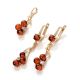 Gold-Plated Dangle Earrings With Amber And Crystals The Mimosa, image , picture 6