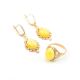 Drop Amber Earrings In Gold The Carmen, image , picture 6