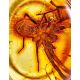 Amber With Inclusion In Gold Ring The Clio, Ring Size: 6 / 16.5, image , picture 2