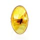 Amber With Insect Inclusions Ring The Clio, Ring Size: Adjustable, image , picture 3
