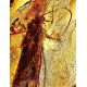 Amber With Insect Inclusion Ring In Gold Plated Silver The Clio, Ring Size: Adjustable, image , picture 3