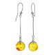 Amber Silver Dangles With Insect Inclusions The Clio, image 