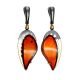 Silver Amber Dangles With Gold Plated Details The Triumph, image 