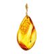 Luminous Amber Pendant With Fly Inclusion, image , picture 5