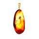 Amber Pendant With Insect Inclusions The Clio, image , picture 5
