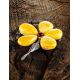 Floral Amber Brooch In Sterling Silver, image , picture 3