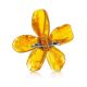 Cognac Amber Flower Brooch The Volcano, image , picture 3