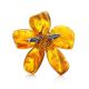 Natural Amber Floral Brooch The Volcano, image , picture 3