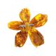 Amber Floral Brooch The Volcano, image , picture 3