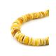 Raw Disc Shaped Amber Beaded Necklace, image , picture 5
