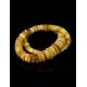 Raw Disc Shaped Amber Beaded Necklace, image , picture 2