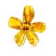 Cognac Amber Flower Brooch The Volcano, image 