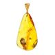 Bold Amber Pendant With Inclusions, image 