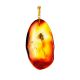 Amber Pendant With Insect Inclusions The Clio, image 