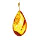 Luminous Amber Pendant With Fly Inclusion, image 