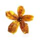 Amber Floral Brooch The Volcano, image 