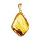 Unique Amber Pendant With Insect Inclusions The Clio, image 