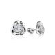 Silver Studs With White Crystals The Aurora, image 