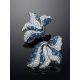 Blue And White Crystal Floral Earrings The Jungle, image , picture 2