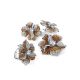 Silver Floral Earrings With Crystals The Jungle, image , picture 5